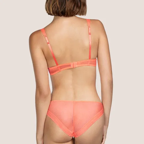 Andres Sarda Turqueta Lace Briefs