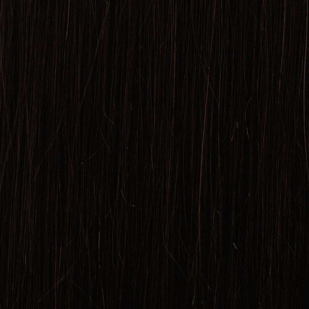 Black Licorice | 21" Classic