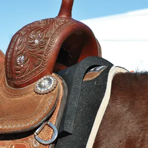 Classic Equine Saddle Shims (CESSHIMS)