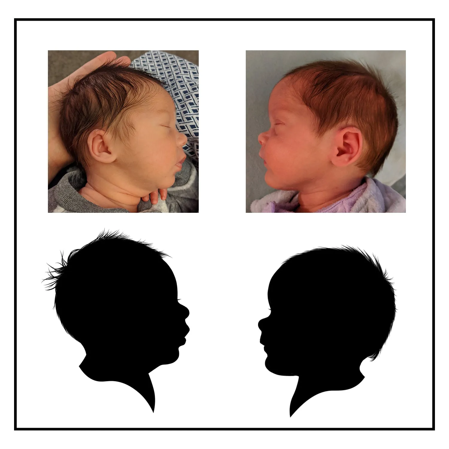 Classic Silhouette Portrait