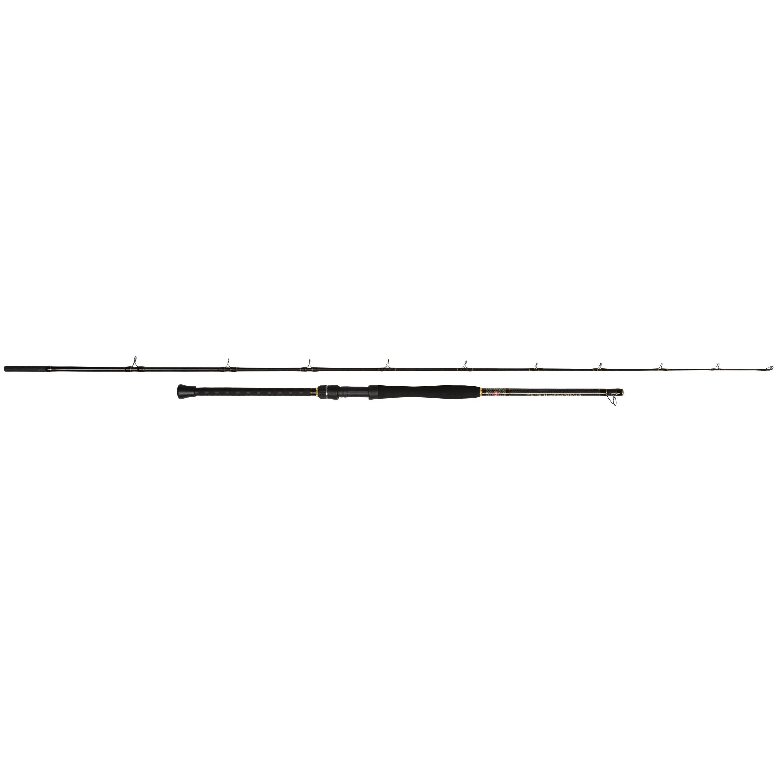 Penn Regiment II Boat Rods