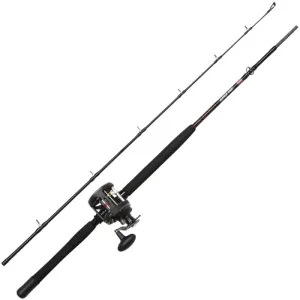 PENN® WARFARE Boat Rod Combo 30LW