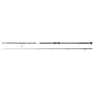 SALT XT Sea Spinning Rod