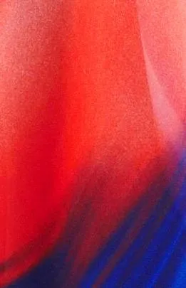 Tulip