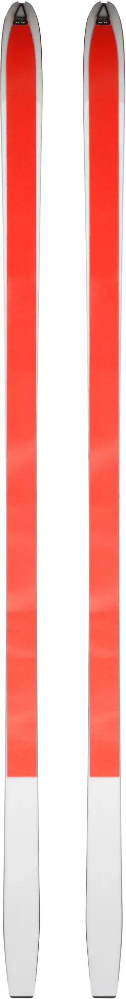 Unisex Nordic Backcountry Skis BC 80 Positrack